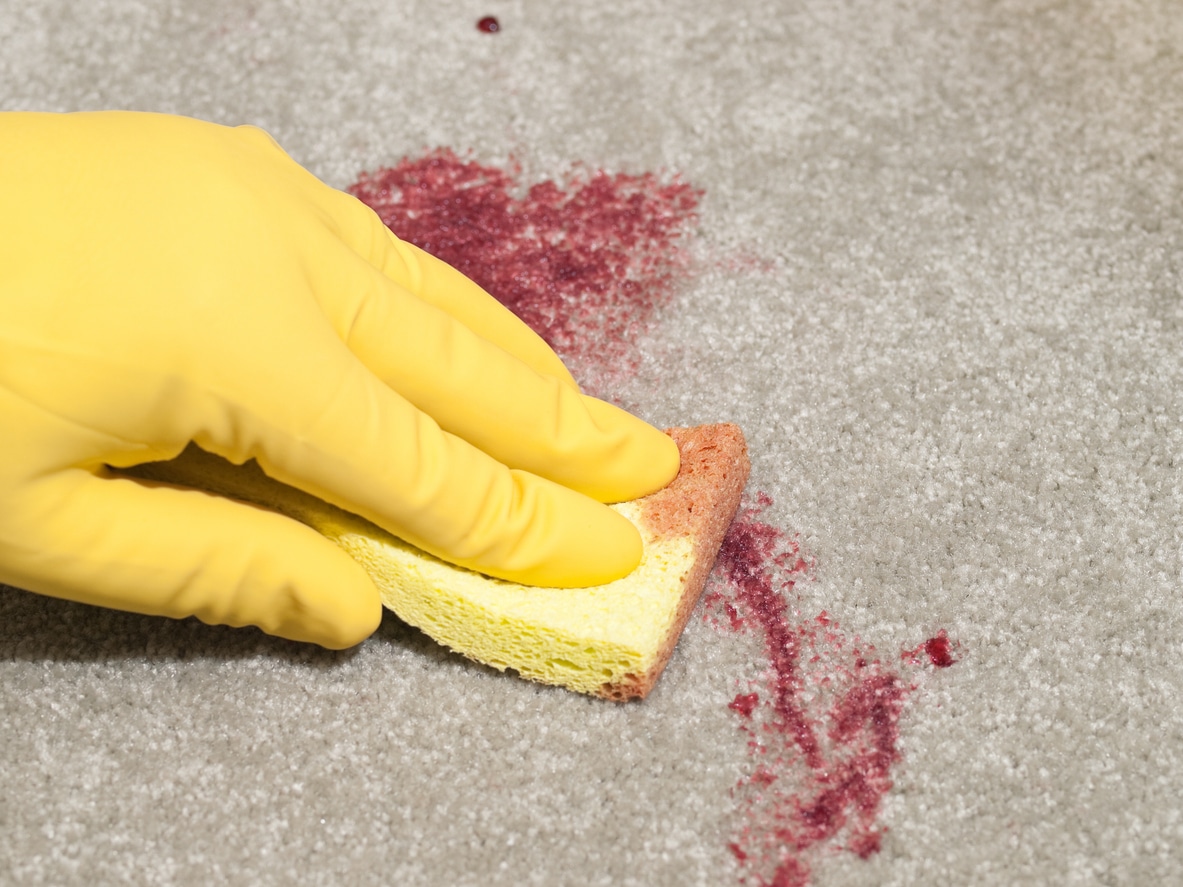 Biohazard Cleaner Blood Cleanup on Carpet